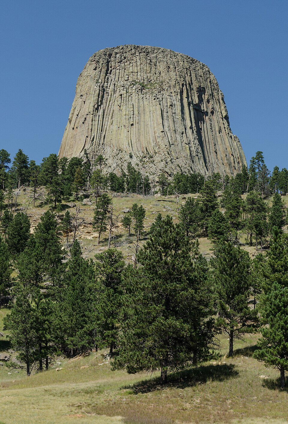 A colour photograph of a huge flat-topped tower of fluted grey rock rising from a wooded hillside.