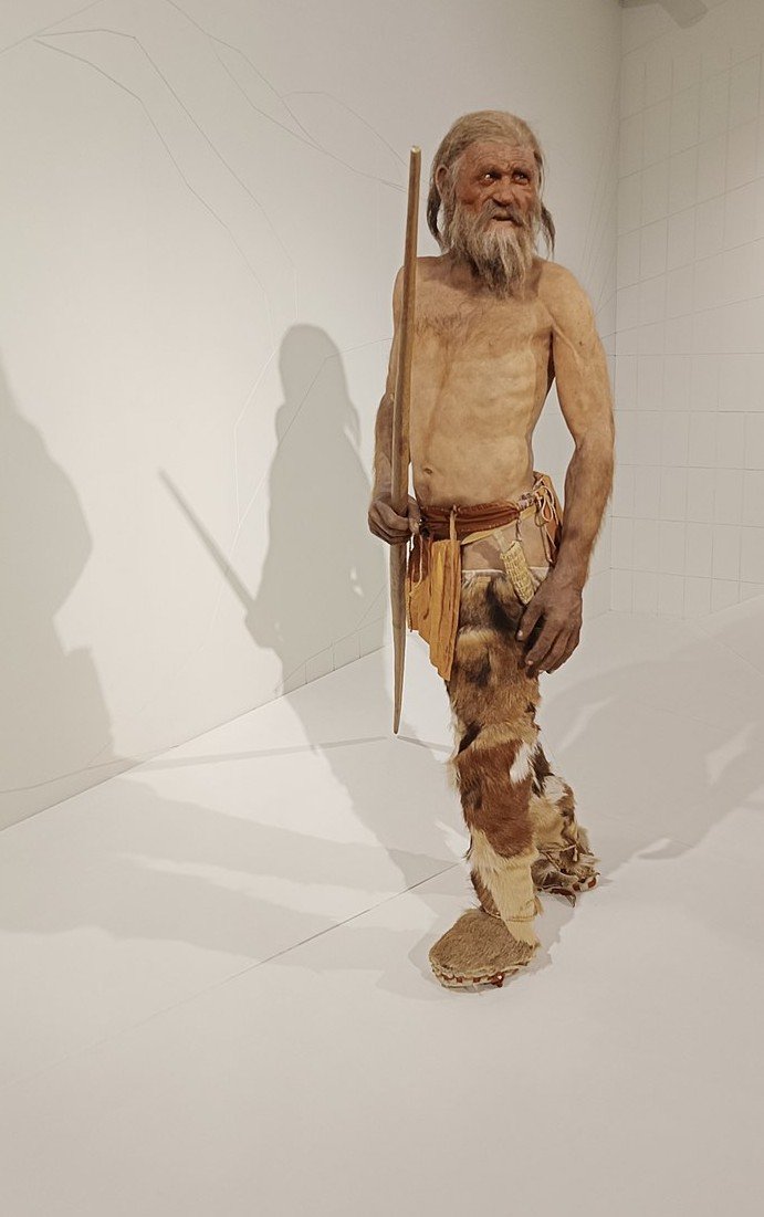 A lifelike museum model of a weathered bearded man in fur leggings and a leather belt, holding a long wooden bow.