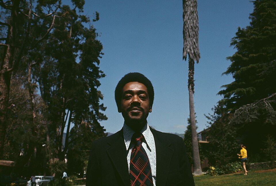 A colour photograph of a young man with a beard in a dark suit and patterned tie standing outdoors among tall trees, looking at the camera.