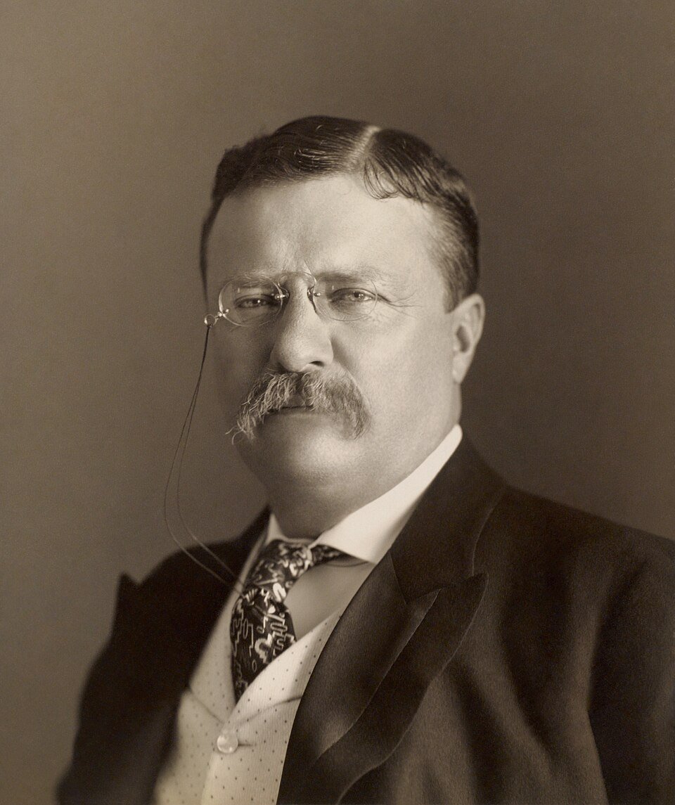 A studio portrait of a man in a dark suit with a thick moustache and pince-nez spectacles on a cord.