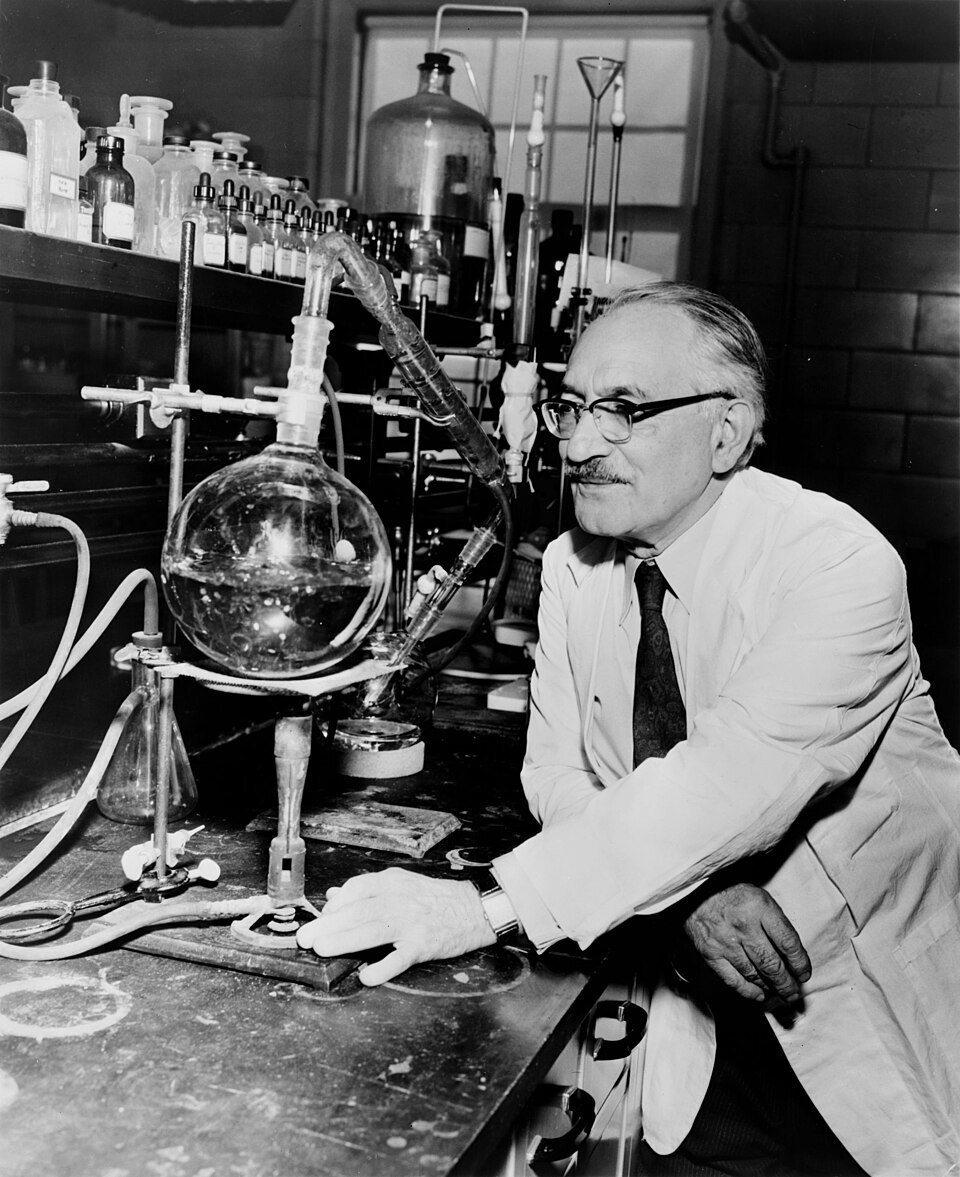 A photograph of a man in a white lab coat and glasses leaning on a bench beside a large round glass flask and condenser, shelves of reagent bottles behind him.